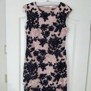 Knee length Pink and Navy Dress